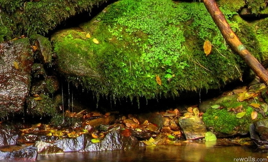 北京苏宁生活广场