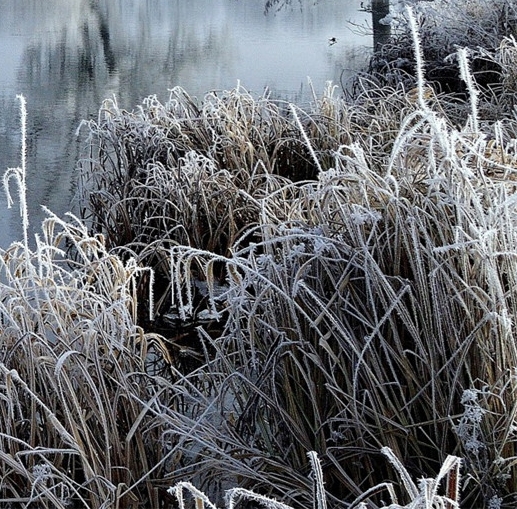 粉象生活骗局大揭秘