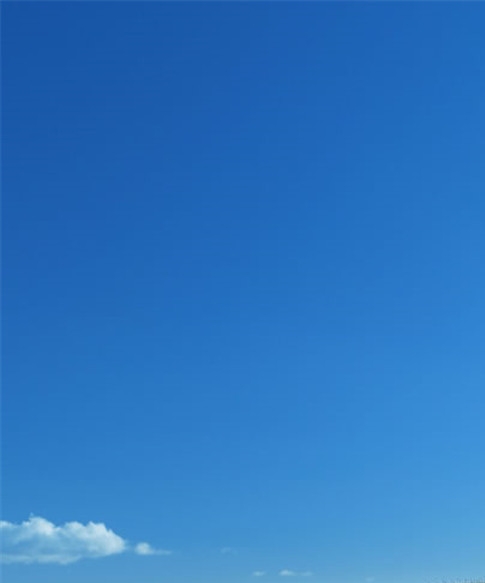 粉象生活邀请码