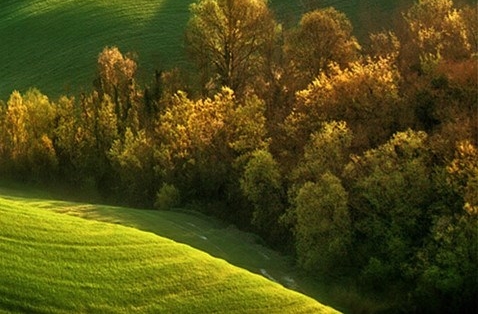 粉象生活是怎么赚钱的