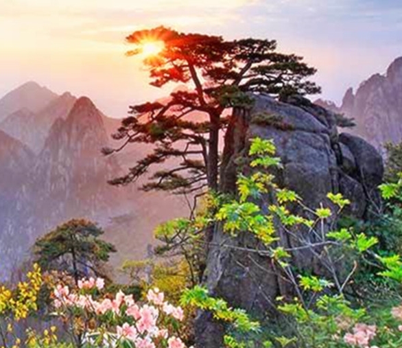 粉象生活开店要多少钱