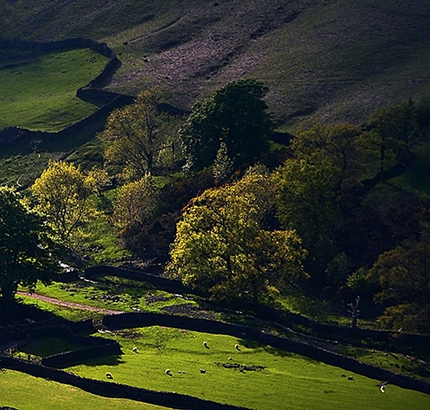 怎样利用粉象生活赚钱