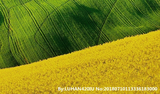 粉象生活官网填j7ztkj送vip