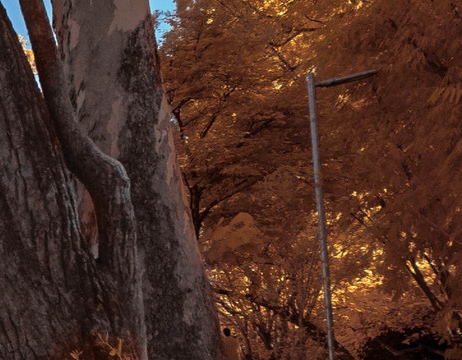 粉象生活哪个版本的最好