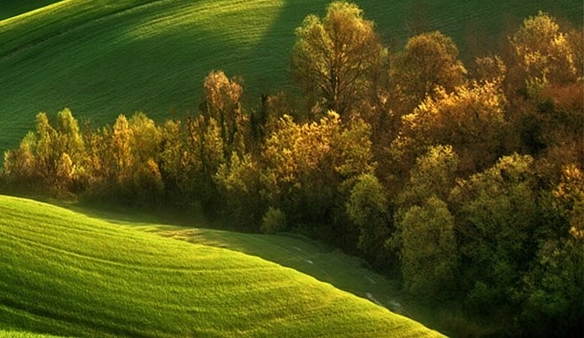粉象生活邀请码
