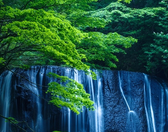 粉象生活邀请码