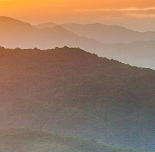 怎样用粉象生活转钱