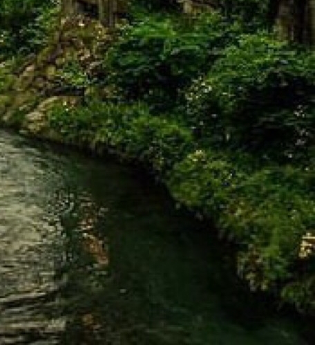 粉象生活邀请码