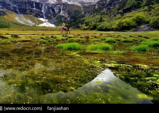 粉象生活怎么快速提现