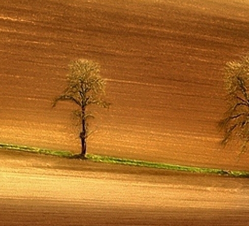 粉象生活简单介绍