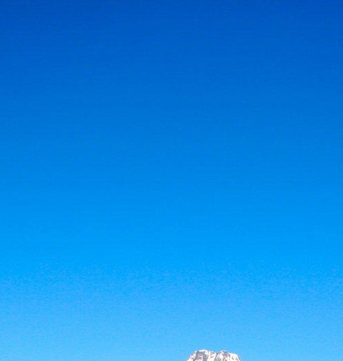 粉象生活哪里开通邀请码