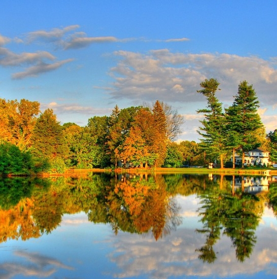 粉象生活下载app