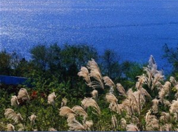 电商粉象生活怎么赚钱