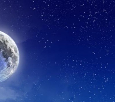 粉象生活高清图片