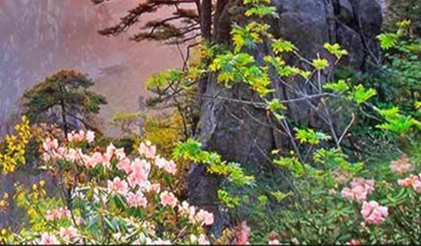 粉象生活什么时候推广的