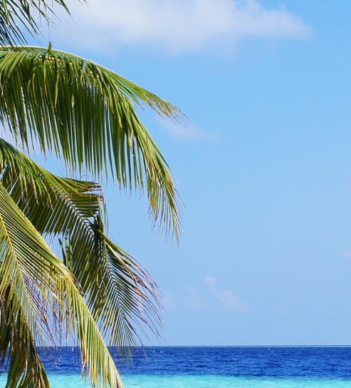 下载粉象生活怎么使用