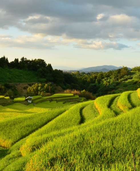 粉象生活如何做活动