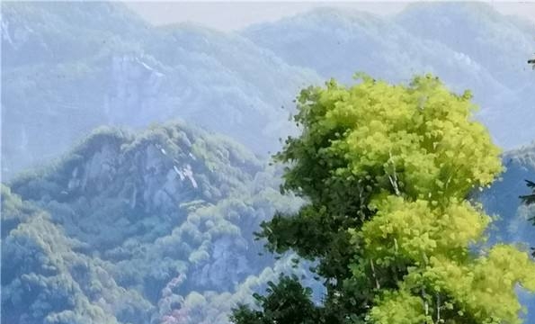 粉象生活可以做代理吗