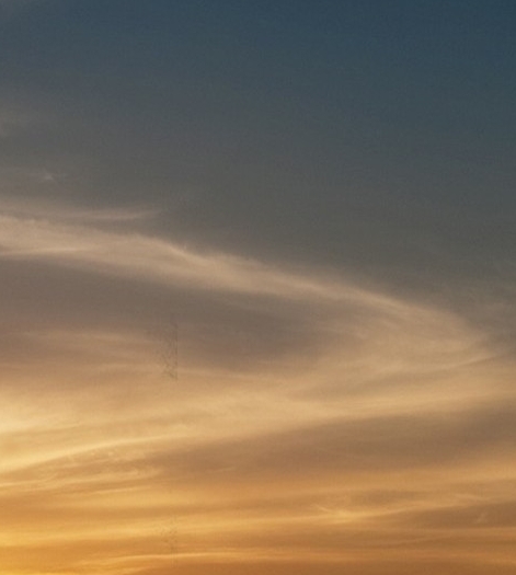 粉象生活下载app