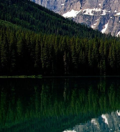 粉象生活看视频答案