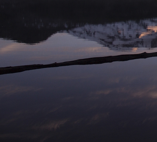 粉象生活邀请码