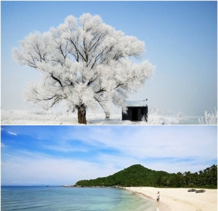 泰国粉象啤酒图片