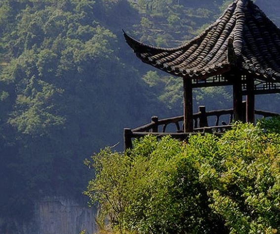 粉象生活的东西是真的假的