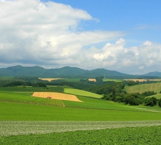 粉象生活一天能赚多少钱