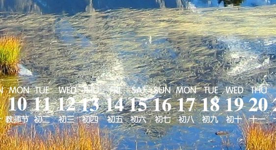 粉象生活类似的APP有哪些