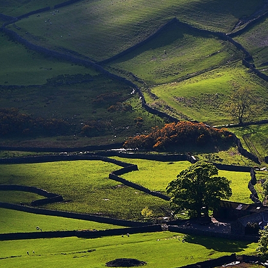 粉象生活怎么去推广