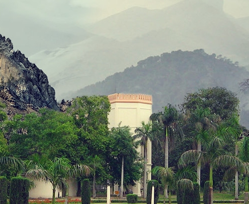 粉象生活能赚钱吗