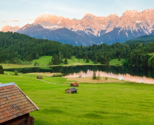 辽宁创新粉象生活