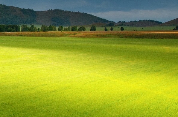 粉象生活下载app