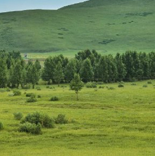 粉象生活会员卡在哪领取