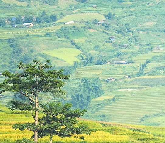 粉象生活赚钱是不是真的