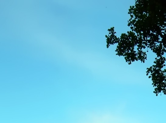 粉象生活的广告怎么打