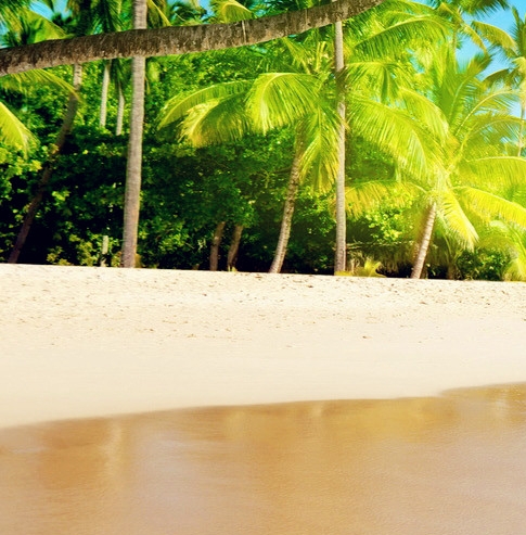 粉象世界app官方下载