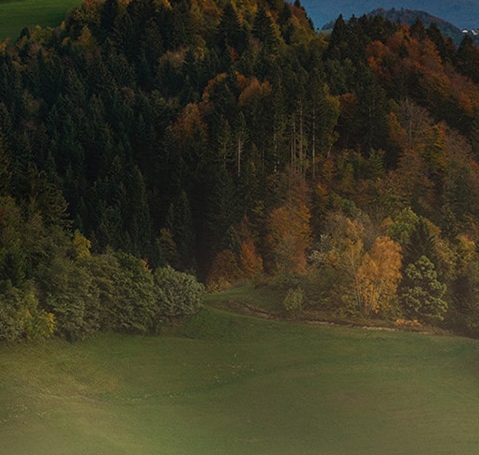 粉象生活是怎么赚钱的