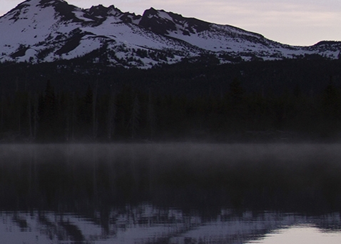 粉象生活赚钱需要什么