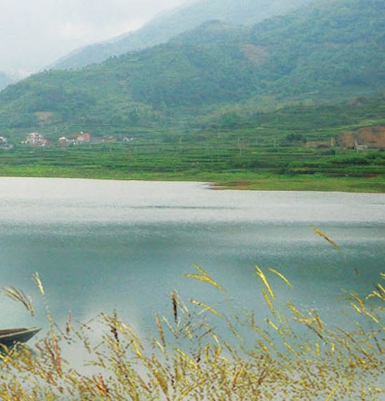 粉象生活邀请码