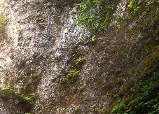 粉象生活地推