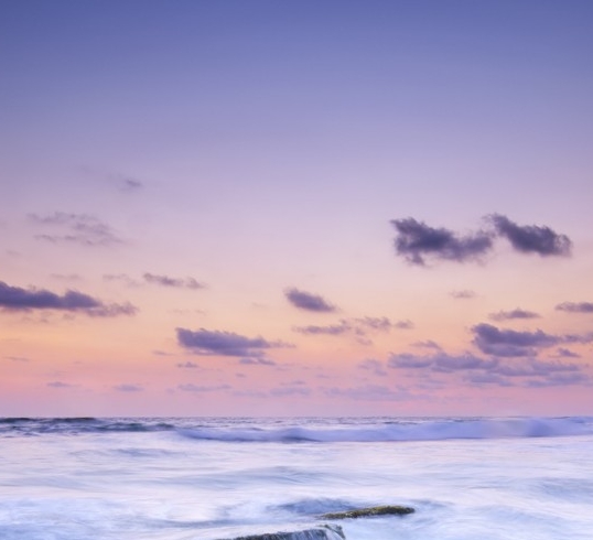 粉象生活是个什么东西