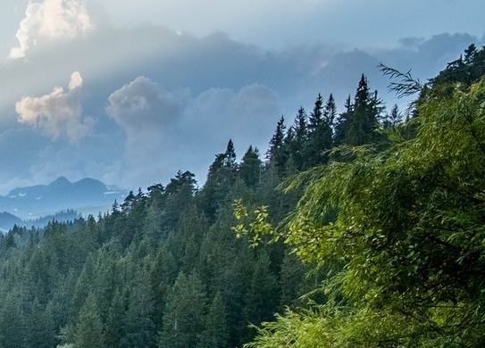 粉象生活外卖返现比例