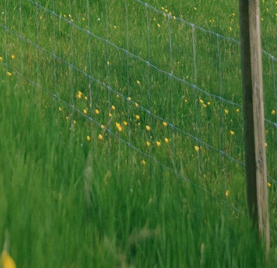 粉象生活如何下载才能成功