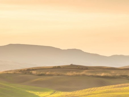 粉象生活如何申请