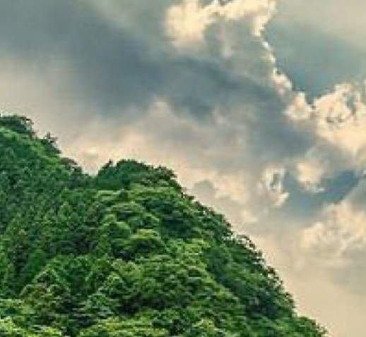 粉象生活是正规平台吗