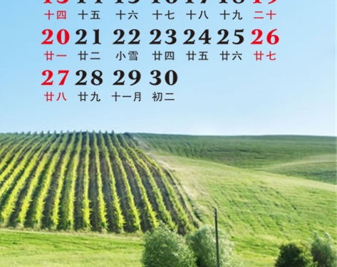 粉象生活免费开店