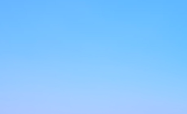 粉象生活 咸鱼