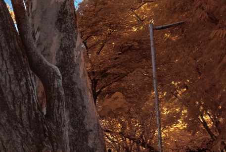 粉象生活下载app