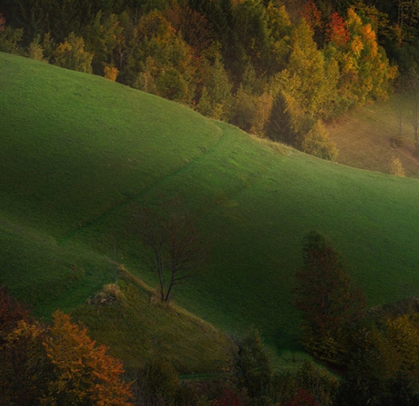 粉象生活商品真假